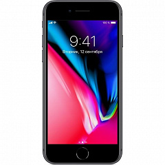 iPhone 8 256Gb Space Gray