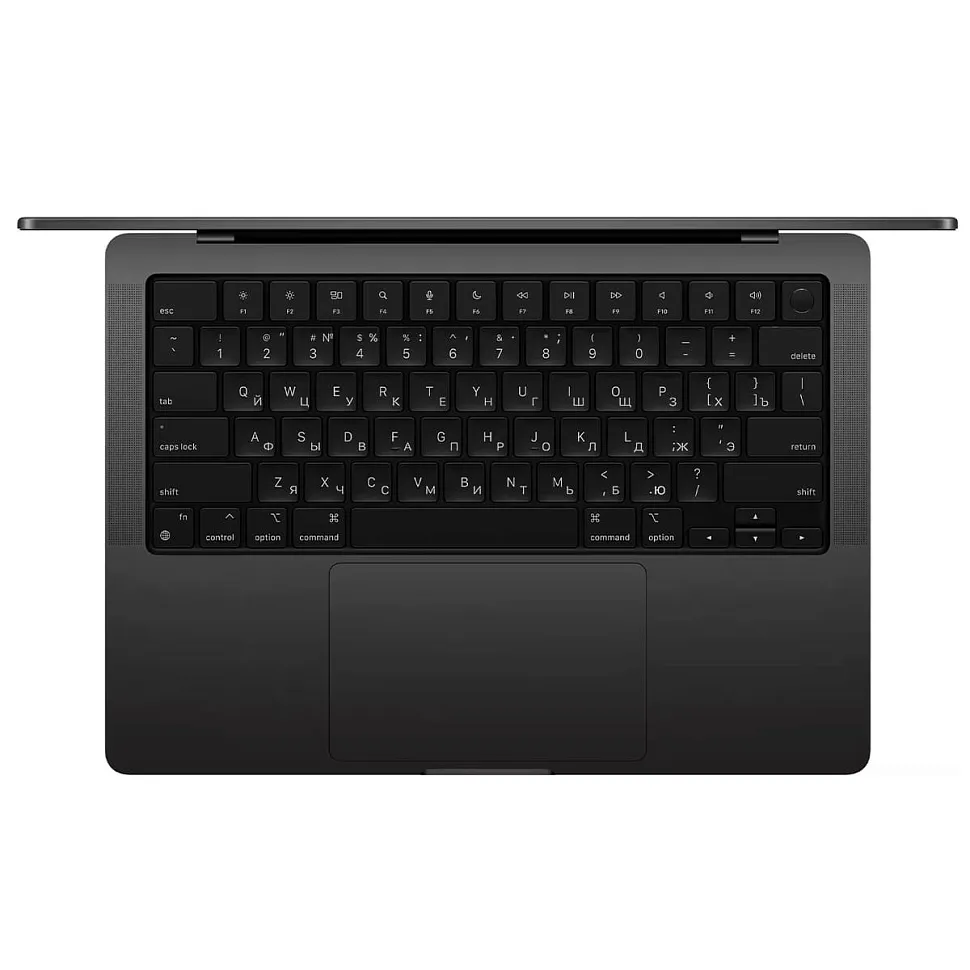 Apple MacBook Pro 14" (M4 10C CPU, 10C GPU, 2024) 24 ГБ, 1 ТБ SSD, "Черный космос", MCX04